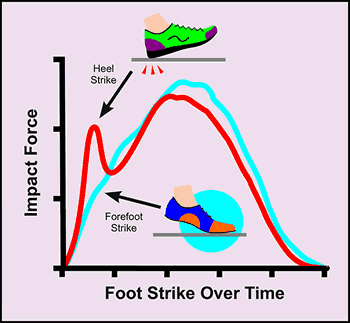 Heel Strike Versus Forefoot Strike diagram showing that when running, the impact force of heel striking is greater than with forefoot striking
