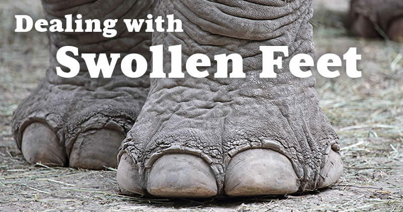 Swelling Feet in Older Adults | Causes and Natural Remedies