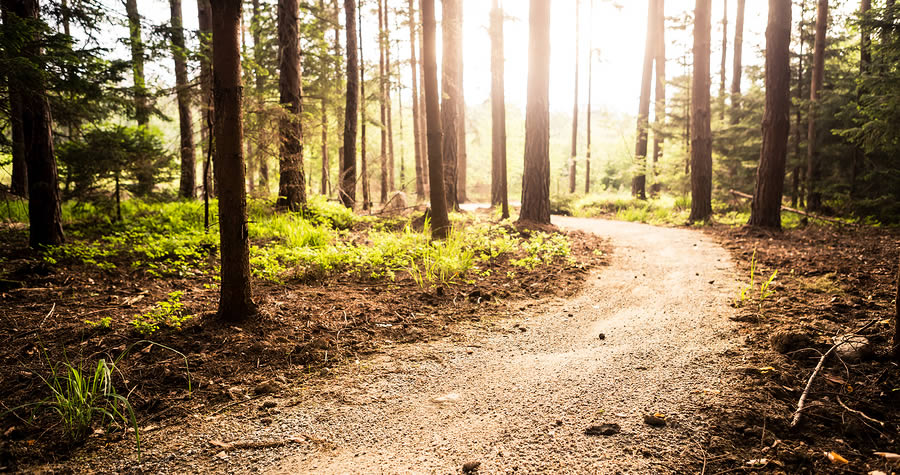 How Minimalist Walking Shoes Improve Strength and Balance