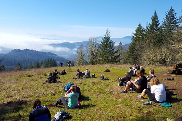 dimple-hill-macdonald-forest Lunch at Dimple Hill