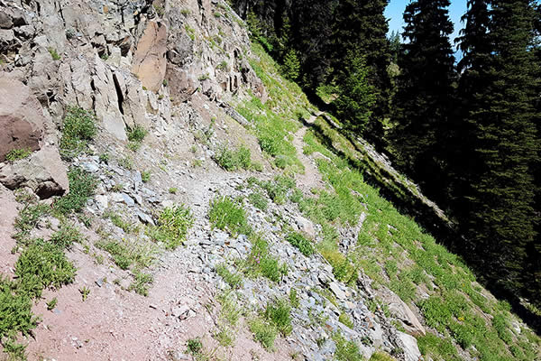 Rocky Trails