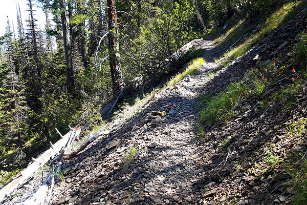 More Rocky Trails