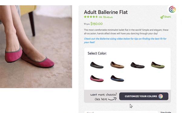 Select Customizing Option