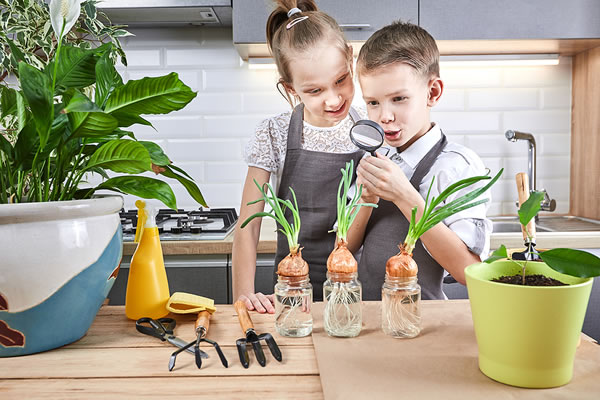 Indoor Gardening